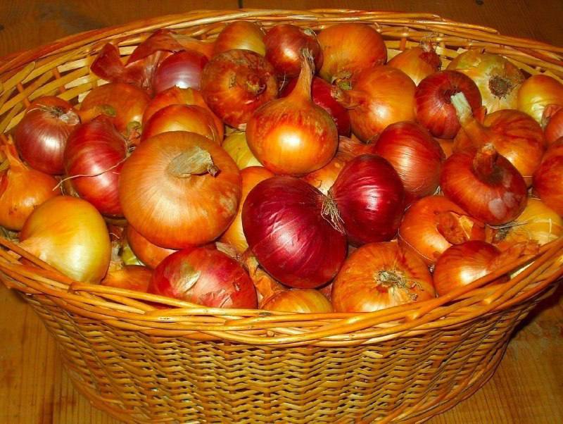 Премахваме пърхота!